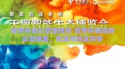 世界杯卖彩票赚钱吗-世界杯期间的彩票销售，机遇与挑战并存