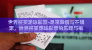 世界杯买足球彩票-尽享激情与不确定，世界杯买足球彩票的乐趣与挑战