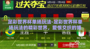 足彩世界杯单场玩法-足彩世界杯单场玩法的精彩世界，爱恨交织的博弈艺术