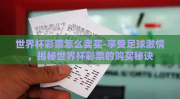 世界杯彩票怎么卖买-享受足球激情，揭秘世界杯彩票的购买秘诀