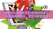 世界杯彩票无法购买-世界杯狂潮下的彩票购买缺位，现实与梦想的交界