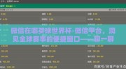 微信在哪买球世界杯-微信平台，洞见全球赛事的便捷窗口——聊一聊世界杯球赛购票新途径