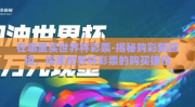 在哪里买世界杯彩票-揭秘购彩新路径，探索世界杯彩票的购买捷径