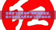 在哪里下注世界杯-把握激情盛宴，四大平台纵览世界杯下注的精彩时刻