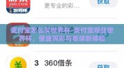 支付宝怎么买世界杯-支付宝观战世界杯，便捷购彩与看球新体验