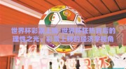 世界杯彩票上税-世界杯狂热背后的理性之光，彩票上税的经济学视角