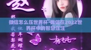 微信怎么压世界杯-微信在2022世界杯中的智慧压注
