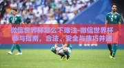 微信世界杯怎么下赌注-微信世界杯参与指南，合法、安全与技巧并进的下赌注指南