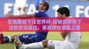 在哪里能下注世界杯-探秘世界杯下注的合法途径，果真存在幸福之港？