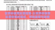 世界杯体育彩票停售-以世界杯体育彩票停售的背后，市场监管与体育精神的平衡为题，文章深入探讨了世界杯期间体育彩票停售的决策背景与深远影响