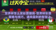 世界杯怎么买彩票赚钱-世界杯彩票，策略与技巧，通向盈利的智慧之路