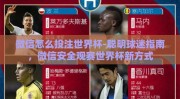 微信怎么投注世界杯-聪明球迷指南，微信安全观赛世界杯新方式