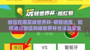 微信在哪买球世界杯-明智选择，如何通过微信购球世界杯合法且安全