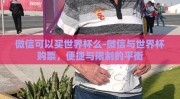 微信可以买世界杯么-微信与世界杯购票，便捷与限制的平衡