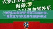 世界杯彩票外围-世界杯彩票外围，隐蔽魅力与风险并存的独特视点