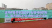 世界杯体育彩票比例-世界杯体育彩票，解密潜在价值比例与娱乐狂欢的交汇点