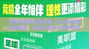 世界杯足球比赛彩票-2026年世界杯新视界，足球彩票的飞扬梦想与理性抉择