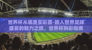 世界杯从哪里买彩票-踏入世界足球盛宴的魅力之旅，世界杯购彩指南