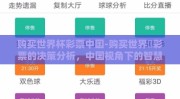 购买世界杯彩票中国-购买世界盃彩票的决策分析，中国视角下的智慧决策与规避风险