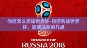 微信怎么买球世界杯-微信购球世界杯，需要注意的几点