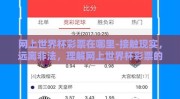 网上世界杯彩票在哪里-接触现实，远离非法，理解网上世界杯彩票的真正价值与风险