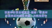 世界杯彩票去哪里买-揭秘！世界杯彩票购买的四步攻略，从选择到中奖的不二法门