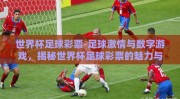 世界杯足球彩票-足球激情与数字游戏，揭秘世界杯足球彩票的魅力与奥秘