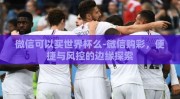 微信可以买世界杯么-微信购彩，便捷与风控的边缘探索