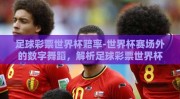 足球彩票世界杯赔率-世界杯赛场外的数字舞蹈，解析足球彩票世界杯赔率