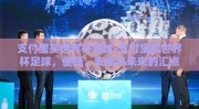 支付宝买世界杯足球-支付宝买世界杯足球，便捷、安全与未来的汇点