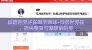 微信世界杯在哪里赌球-微信世界杯，理性赞赏与深思的边界