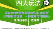 体彩中的世界杯彩票怎么买-走进世界杯彩票世界，一种趣味与可能并存的购买指南