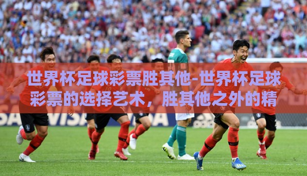 世界杯足球彩票胜其他-世界杯足球彩票的选择艺术，胜其他之外的精彩细节