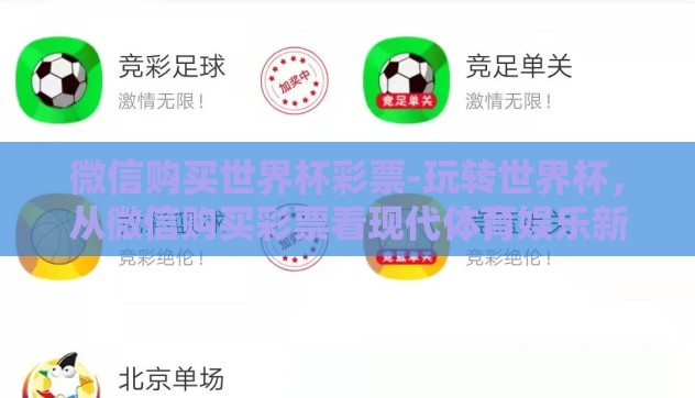 足球世界杯博彩app-边境之舞，足球世界杯的数字盛宴——揭秘博彩APP的潮流与挑战