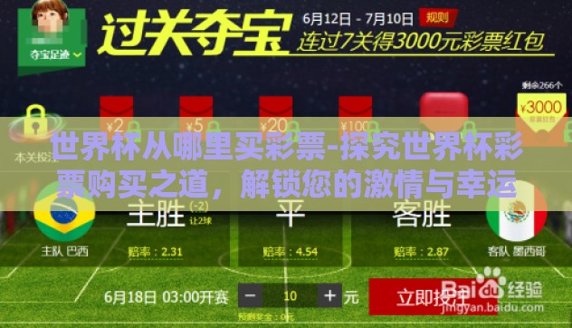 世界杯从哪里买彩票-探究世界杯彩票购买之道，解锁您的激情与幸运