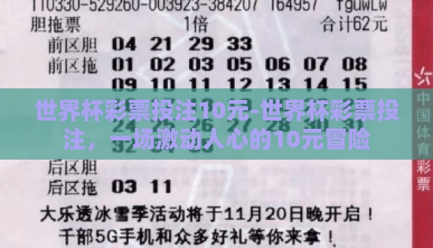 世界杯彩票投注10元-世界杯彩票投注,一场激动人心的10元冒险 世界杯彩票投注10元-世界杯彩票投注,一场激动人心的10元冒险