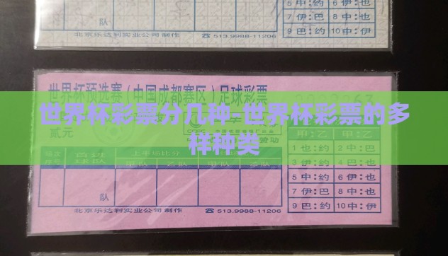 世界杯彩票分几种-世界杯彩票的多样种类 世界杯彩票分几种-世界杯彩票的多样种类