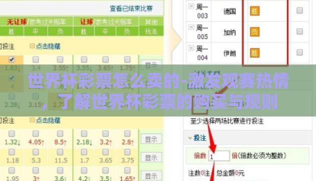 世界杯彩票怎么卖的-激发观赛热情,了解世界杯彩票的购买与规则 世界杯彩票怎么卖的-激发观赛热情,了解世界杯彩票的购买与规则