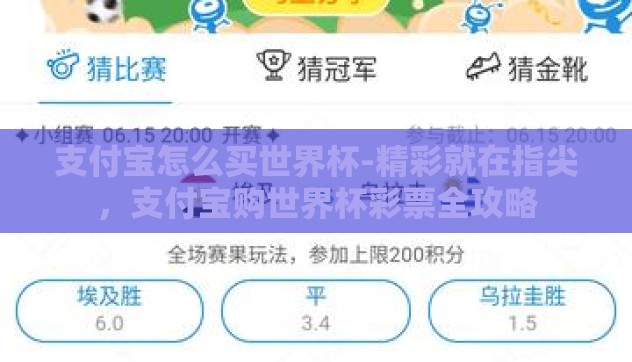 支付宝怎么买世界杯-精彩就在指尖,支付宝购世界杯彩票全攻略 支付宝怎么买世界杯-精彩就在指尖,支付宝购世界杯彩票全攻略