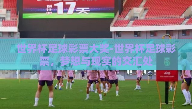 世界杯足球彩票大奖-世界杯足球彩票，梦想与现实的交汇处