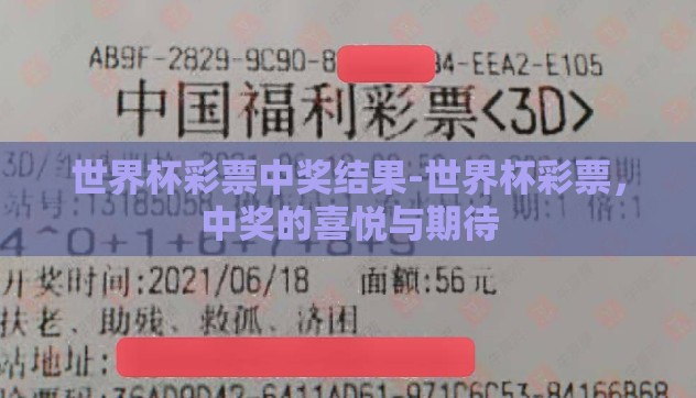 世界杯彩票中奖结果-世界杯彩票，中奖的喜悦与期待