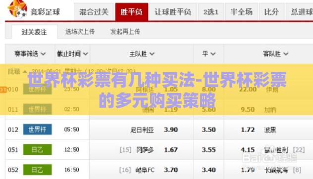 世界杯彩票有几种买法-世界杯彩票的多元购买策略