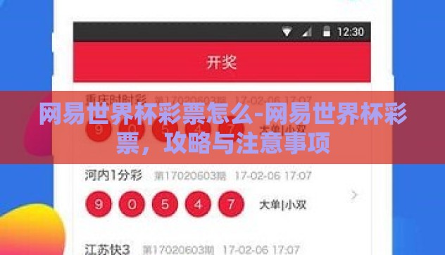 网易世界杯彩票怎么-网易世界杯彩票，攻略与注意事项