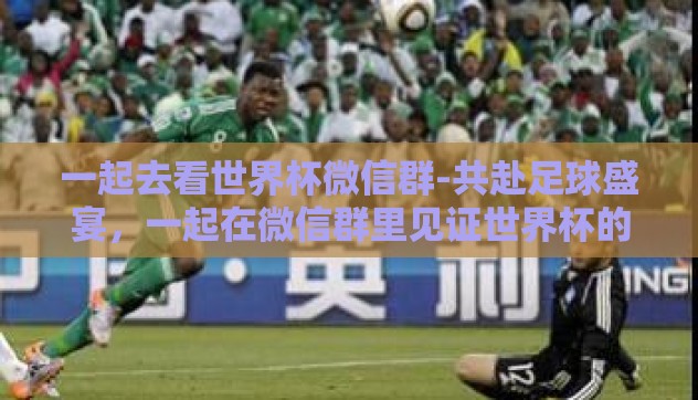 一起去看世界杯微信群-共赴足球盛宴，一起在微信群里见证世界杯的激情瞬间