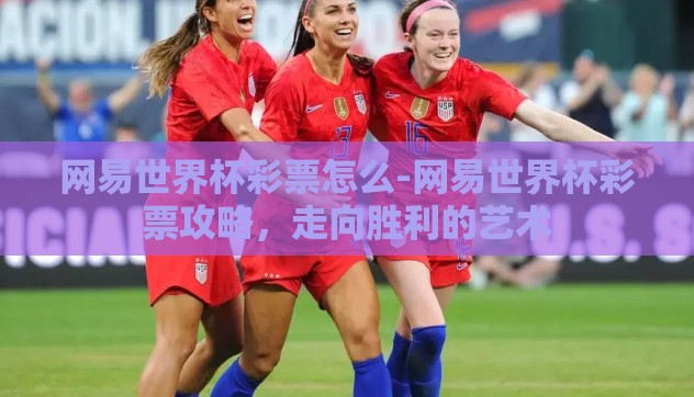 网易世界杯彩票怎么-网易世界杯彩票攻略，走向胜利的艺术