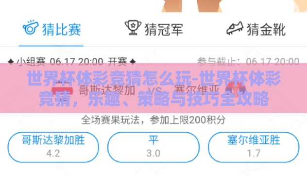 世界杯体彩竞猜怎么玩-世界杯体彩竞猜，乐趣、策略与技巧全攻略