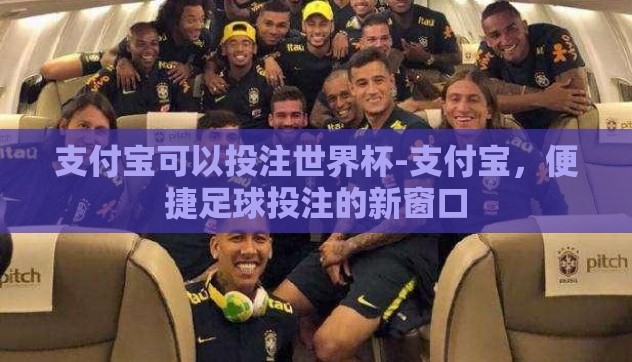 支付宝可以投注世界杯-支付宝，便捷足球投注的新窗口