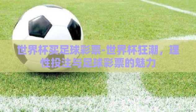 世界杯买足球彩票-世界杯狂潮，理性投注与足球彩票的魅力