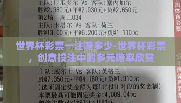 世界杯彩票一注赔多少-世界杯彩票，创意投注中的多元赔率欣赏