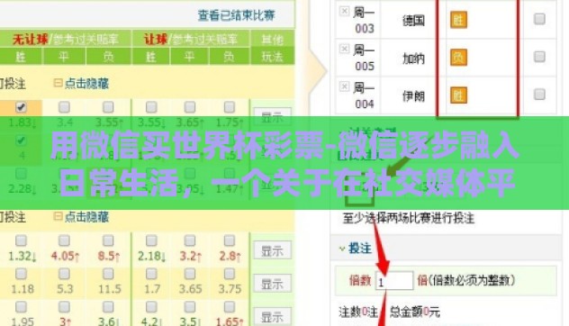 用微信买世界杯彩票-微信逐步融入日常生活,一个关于在社交媒体平台购买世界杯彩票的探索 用微信买世界杯彩票-微信逐步融入日常生活,一个关于在社交媒体平台购买世界杯彩票的探索